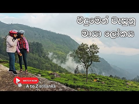 🌿✨ Lipton’s Seat, Sri Lanka | Breathtaking Views & Tea Estate Experience ☕🏞️ ලිප්ටන් සීට්