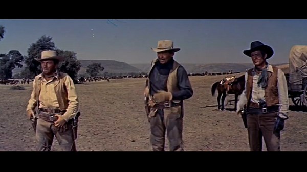 The Tall Men (1955)