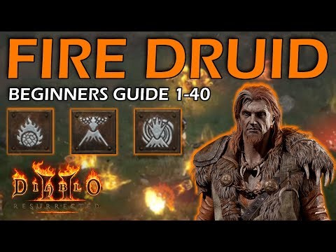 Beginners Guide to the Fire Druid Levels 1-40 | Normal Mode | Diablo 2 Resurrection
