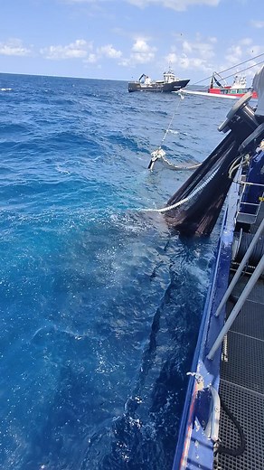 #pesquero #marino #pescasostenible #anchoa #cantabrico #fisherman #fishermanslife #guycotten #almar #fishing #sailor #sailormoon #pescacerco #pesqueros