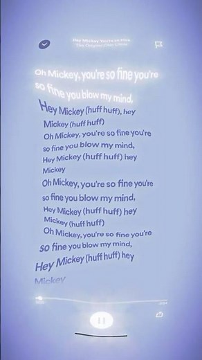 song: Hey Mickey You're so Fine-The Original Chin Chins #favoritesong #lyric #songlyrics #ohmickey