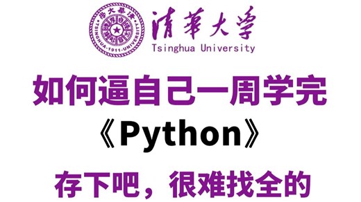 【全600集】2025年B站最全Python全套教程（包含零基础 量化交易），一周从入门到精通Python，学完即可就业！看完这一套Python教程就够了！！