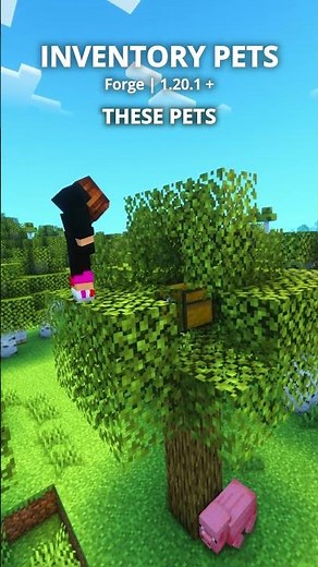 Aahhh those Inventory Pets are so cute 😭