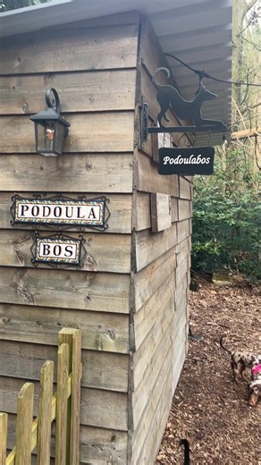We had the best adventure play time at Podoulabos Brasschaat today! a lovely, quit, clean and safe fenced forest of 2200m2 that we rented only for is. We will 10/10 come here again! #Podoulabos #Brasschaat #PrivateDogForest #Chorizotheteckel #adventuretime