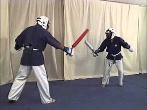 Yoseikan budo - Techniques de combat