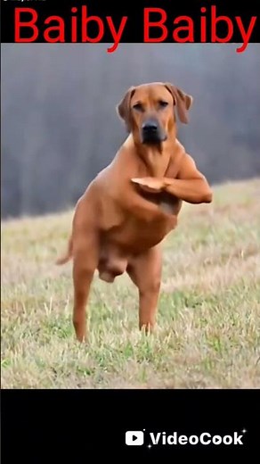 Digi Digi dance challenge#baibybaiby#trending#viral#dancechallenge#anime#kenyan