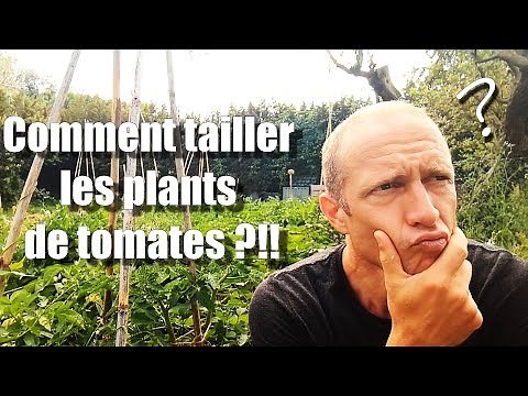 Comment TAILLER les plants de tomates [Tuto] ?