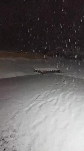 Snowy Night Scene: Tranquil Winter Wonder