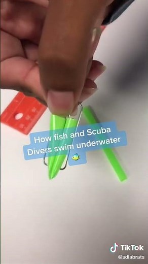 DIY Buoyancy Activity - Cartesian Diver