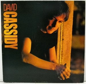 David Cassidy - David Cassidy