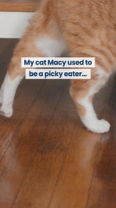 With real meat first and natural ingredients, BLUE Tastefuls delivers on great taste. | Blue Buffalo