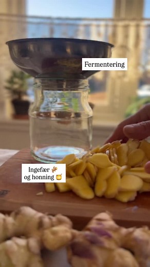 Honning og ingefær 🫚 🍯🐝 Første gang jeg lager dette! Glasset skal stå i ca 4 uker etter oppskrifta! Snues og vendes på. Med samme huskeregel som for grønnsaksfermentering, og det betyr at ingenting skal ligge over væska. Ja, for honningen blir straks flytende. Noen andre som har prøvd? Dette blir gøy 🤩 #spenningihverdagen #ingefær #fermentering | Anne Endresen