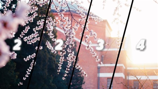 1234！2234！跟着节拍一起看清华春日美景，每一帧都浪漫满格~