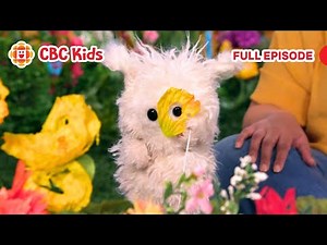 ASL Preschool Show | Solving a Mystery (Silly Paws) | CBC Kids