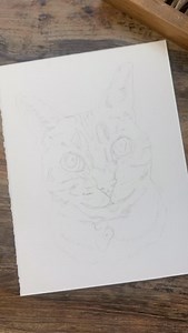 ✨ Beautiful Lily ✨ What an absolute delight it was drawing this little face, sweet Lily. Sadly a commemorative commission, but hoping that her portrait helps in remembering all the love and fun times shared. 🥰✨ ✍🏼 A5 (approx 6”x8”) colour pencil on Fabriano Artistico hot press 640gsm watercolour paper. #katesprattart #petportrait #cat #cats #cats_of_instagram #catsofinstagram #cats_of_world #catloversworld #catoftheday #catlover #catlife #catdrawings #catportrait #catportraits | Kate Spratt Eq