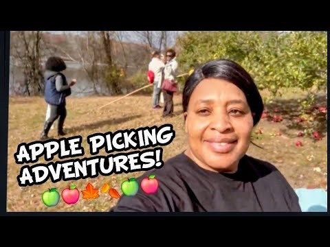 "WHEN JAMAICANS GO APPLE PICKING" FOR THE 1st TIME!🤣 CHECK THIS!!