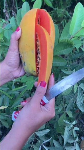 Papaya Fruit #papaya
