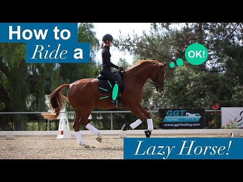 How to Ride a Lazy Horse