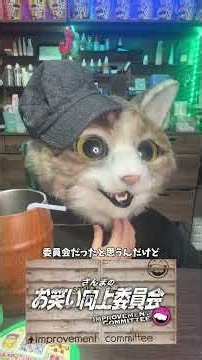 しょこたんがｘからインスタ、スレッズに移動するまでの流れで複数ばずらせててやはり天才かと思う猫ちゃん #ねこ #教育