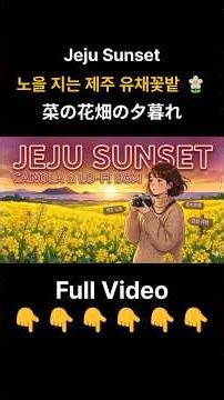 노을 지는 제주 유채꽃밭 🌼 Jeju Sunset / 菜の花畑の夕暮れ