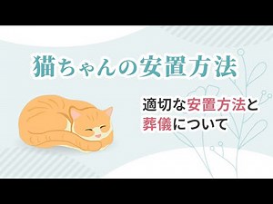 【解説】猫ちゃんが亡くなったら何をすればいい？｜安置方法と葬儀について
