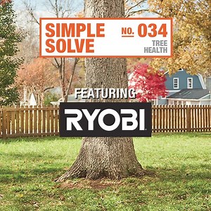 3.6K views · 11 reactions | Trimming and pruning is essential tree maintenance. Follow these easy steps from Ryobi to ensure long lasting healthy trees. | The Home Depot | Facebook