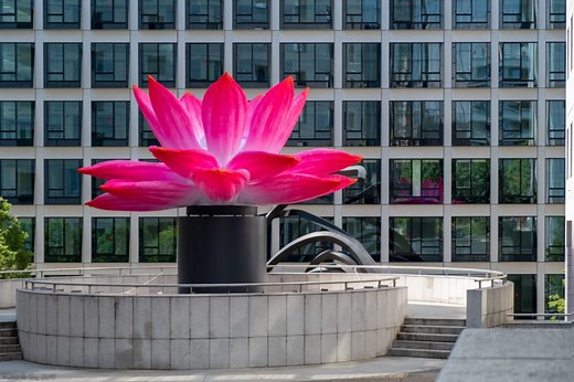 Choi Jeong Hwa’s gigantic breathing lotus flowers