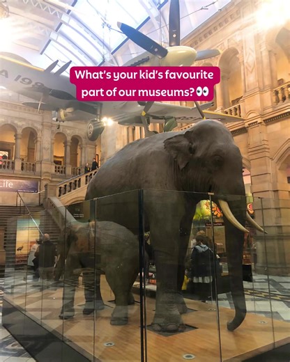 Every visit to our museums is different… and every little explorer has their favourite spot 💛 Is it the dinosaurs, the art, the hands-on exhibits or something weird and wonderful? Tell us your kid’s favourite museum moment in the comments 👇 #GlasgowLifeFamilies #GlasgowMuseums #FamilyDaysOut