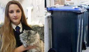 Pet owner's horror as her live cat is dumped in WHEELIE BIN