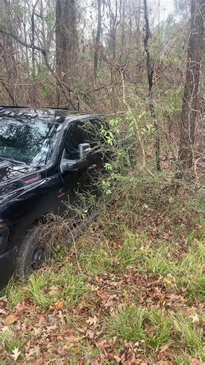 Keenan Sexton (@keenan.sexton)’s videos with original sound - Keenan Sexton