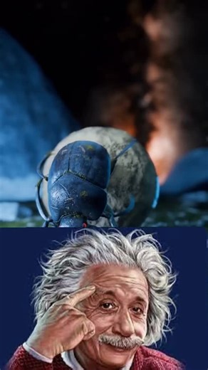 Raj babu on Instagram: "What can we say except, “You’re welcome!” With a computer program called MOANA and NASA satellite data, scientists can identify the colorful plantlike organisms that drift in Atlantic Ocean currents. These phytoplankton nourish Earth’s marine life, produce oxygen, absorb carbon, and turn satellite images into vibrant works of art. The first image, taken by NASA’s Plankton, Aerosol, Cloud, ocean Ecosystem (PACE) satellite on May 16, 2025, shows the natural color of phytopl