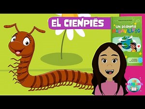 ¿SABES CUÁNTAS PATAS TIENE UN CIENPIÉS? | ENSEÑANZA | DEVOCIÓN MATUTINA PARA NIÑOS |TU MATUTINA KIDS
