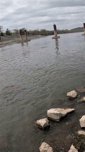 Basic rig catches fish
