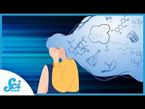 Your Brain and Stress | Compilation