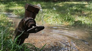 water flows onto a green lawn from an open street tap forming a puddle. Rusty old water faucet leaking water