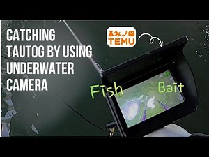 Testing a $30 Temu Underwater Camera! (Real Fish Footage)