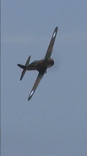 Curtiss P-40C Tomahawk Flyby #aviation #Warbirds #avgeek