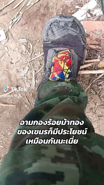 ประโยชน์ของอามกองร้อยม้าทองเขมร