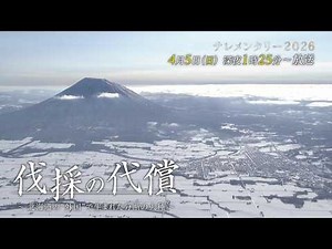 伐採の代償 予告VTR