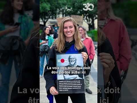 Emma Fourreau, a MEP who fights for the protection of whales