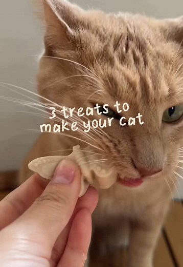 3 single ingredient treats to make for your cat! #diypettreats #singleingredient #homemadetreats #cattreats #asmr