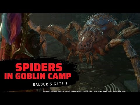 What happens if you let out the spiders in goblin camp | Baldur's gate 3 | Act 1