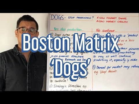 Boston Matrix - Dogs