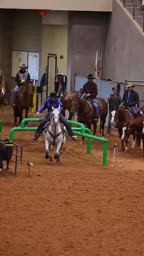 482 reactions · 16 shares | “A Streakin Freckle” 6yo gelding by A Streak Of Fling - LOT 21 in the Riata Stallion Incentive Showcase Sale in Las Vegas December 7, 2025! Cactus Ropes EQUICOR LLC McCracken Hay Wrangler Western Double X Veterinary Services | Burnham Performance Horses & Productions | Facebook
