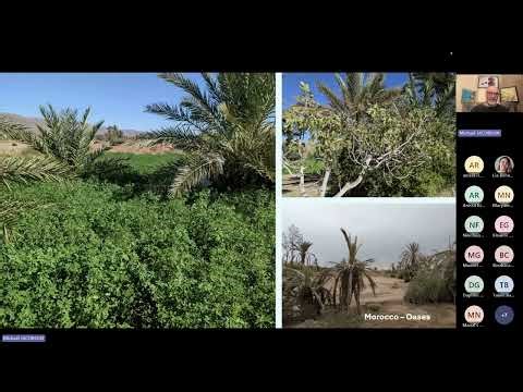 TRANS SAHARA Expert Talks Series with Professor Michael Jacobson