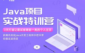 Java项目实战特训营
