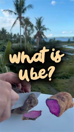 What is ube?