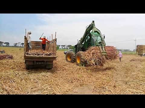 Sugarcane harvester grab Loader work video