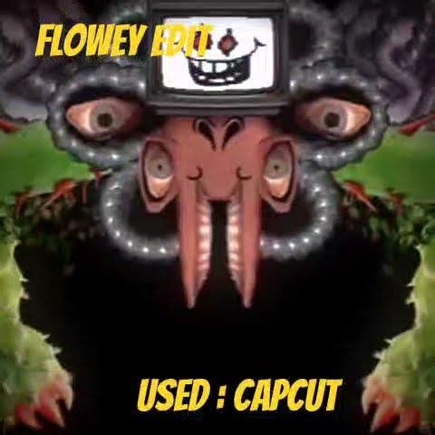 omega flowey edit