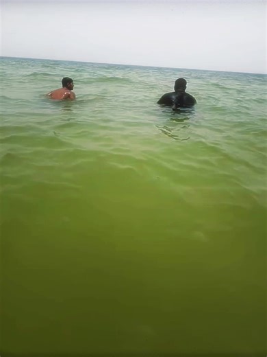 Alligator Prank: Hilarious Fake Alligator Tricks